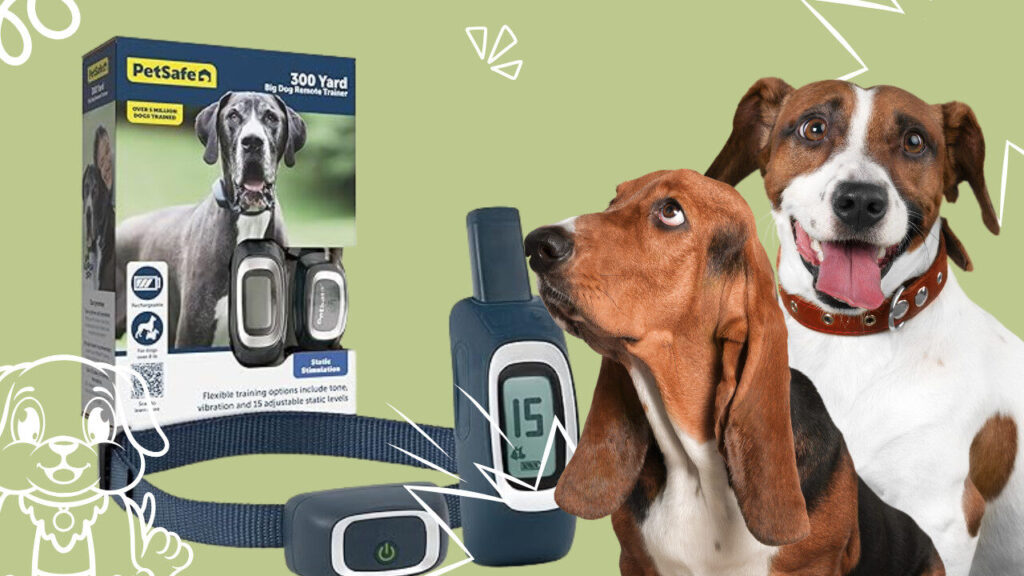 Dog Training Collars with Remote